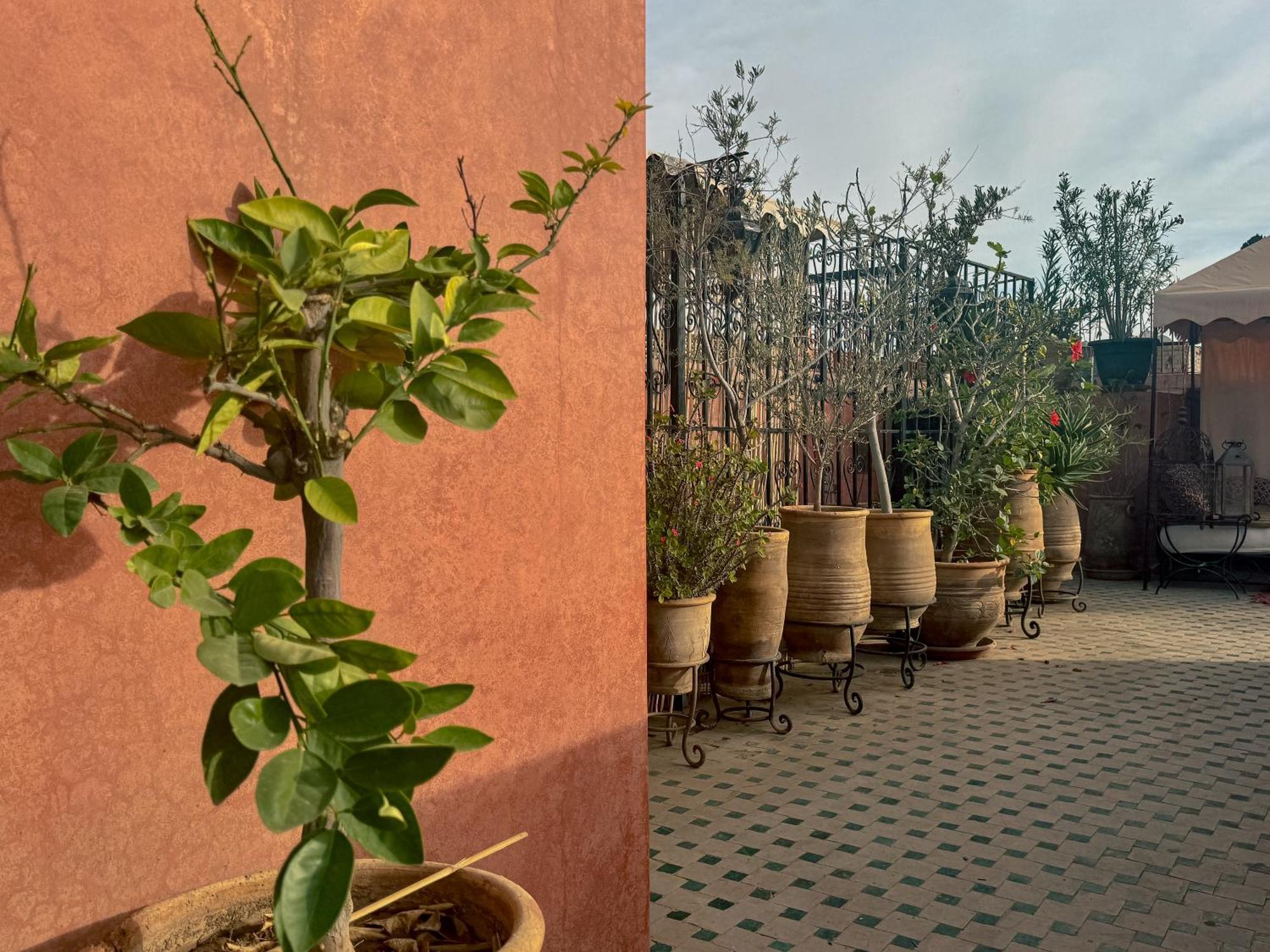 Riad Lapis-Lazuli Marrakesh Exterior foto